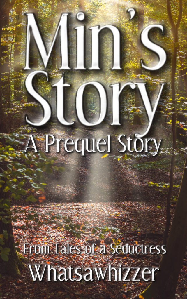 Min's Story Cover